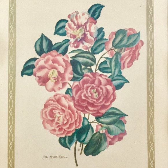 Meet your Posher, Neve - Picture 1 of 1